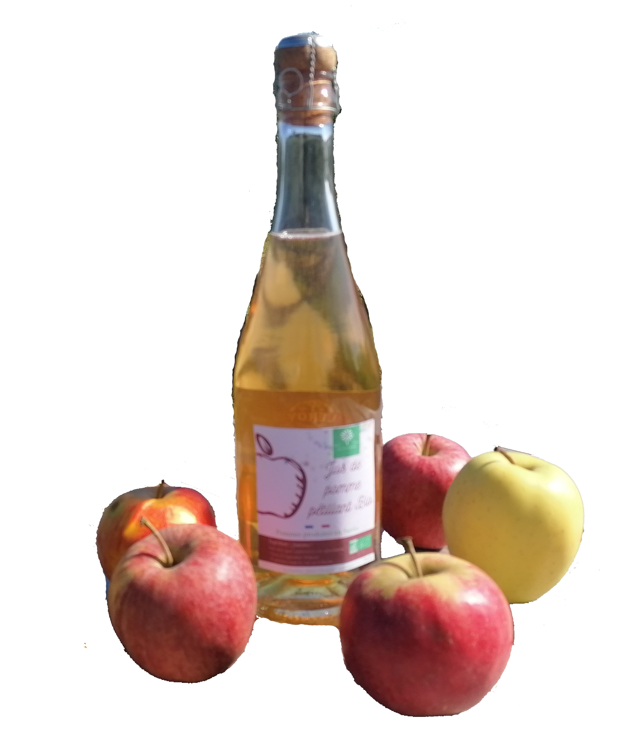 Jus de pomme pétillant Bio 75cl